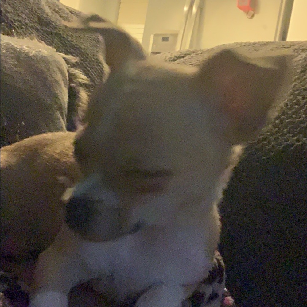 Meet your Posher, April